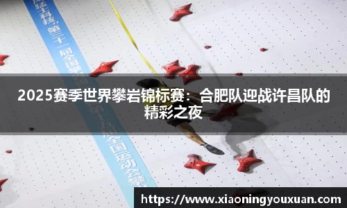 2025赛季世界攀岩锦标赛：合肥队迎战许昌队的精彩之夜